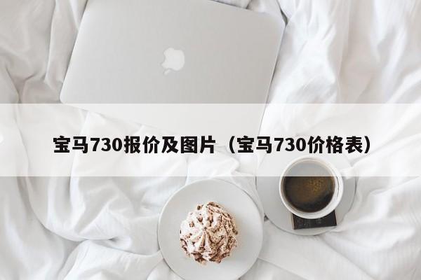 宝马730报价及图片（宝马730价格表）