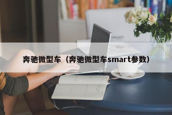 奔驰微型车（奔驰微型车smart参数）