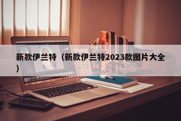 新款伊兰特（新款伊兰特2023款图片大全）