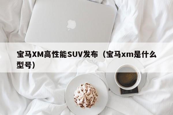 宝马XM高性能SUV发布（宝马xm是什么型号）