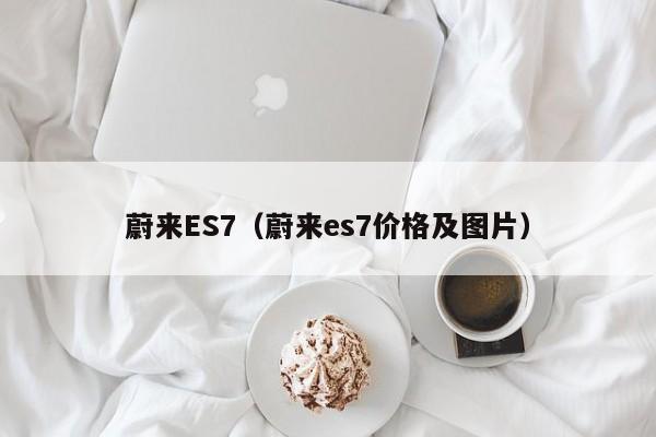 蔚来ES7（蔚来es7价格及图片）