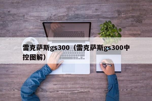 雷克萨斯gs300（雷克萨斯gs300中控图解）