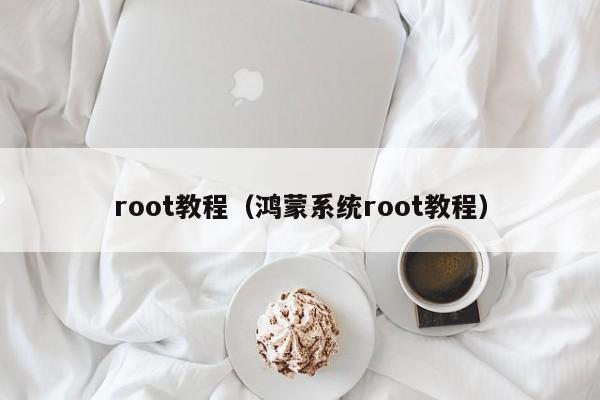 root教程（鸿蒙系统root教程）