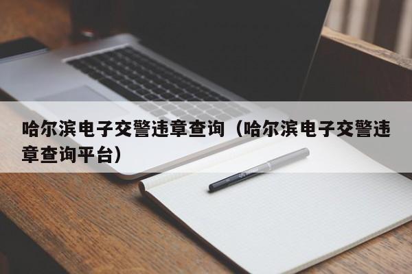 哈尔滨电子交警违章查询（哈尔滨电子交警违章查询平台）