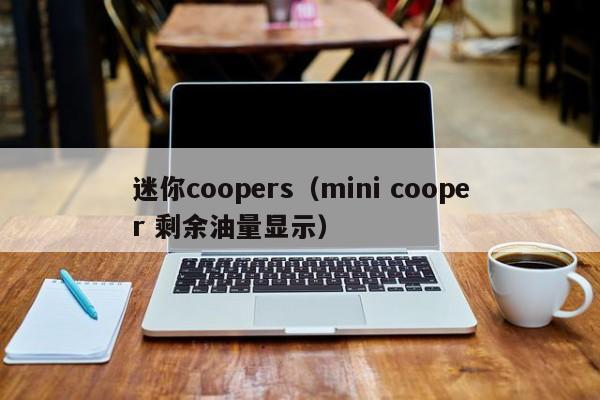 迷你coopers（mini cooper 剩余油量显示）