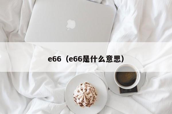 e66（e66是什么意思）