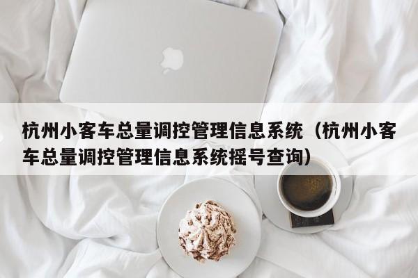 杭州小客车总量调控管理信息系统（杭州小客车总量调控管理信息系统摇号查询）