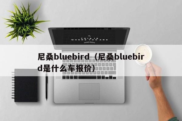 尼桑bluebird（尼桑bluebird是什么车报价）