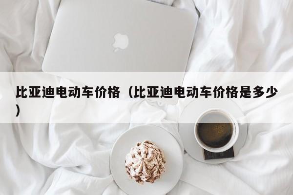 比亚迪电动车价格（比亚迪电动车价格是多少）