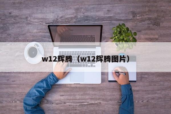 w12辉腾（w12辉腾图片）