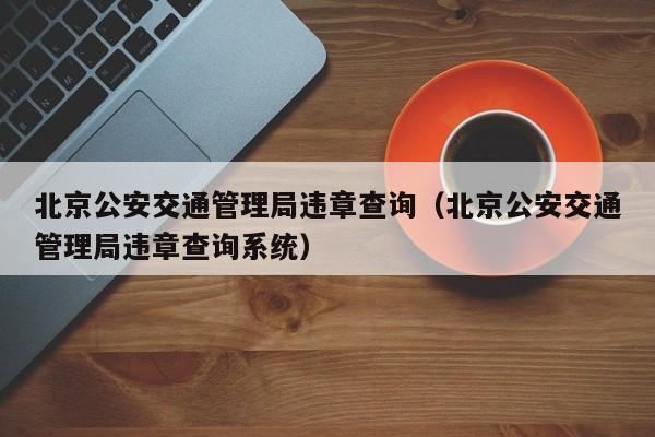 北京公安交通管理局违章查询（北京公安交通管理局违章查询系统）