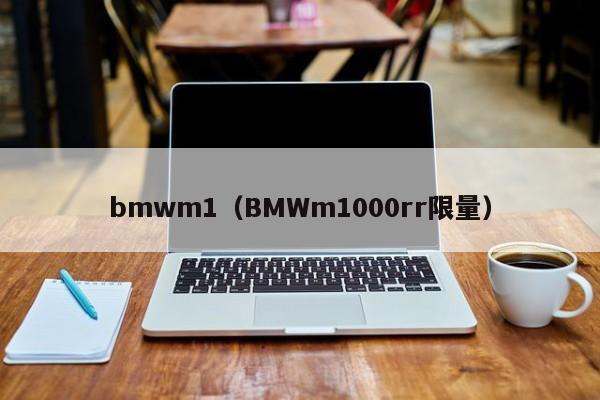 bmwm1（BMWm1000rr限量）