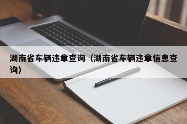 湖南省车辆违章查询（湖南省车辆违章信息查询）