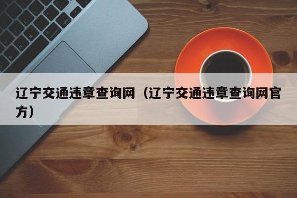 辽宁交通违章查询网（辽宁交通违章查询网官方）