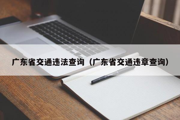 广东省交通违法查询（广东省交通违章查询）