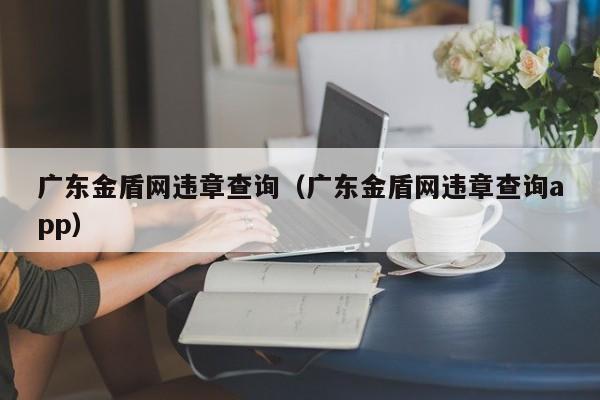 广东金盾网违章查询（广东金盾网违章查询app）