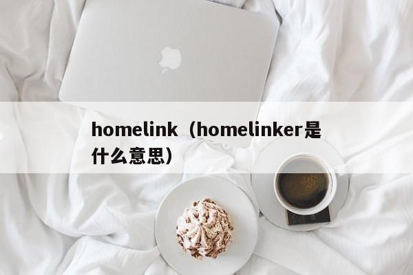 homelink（homelinker是什么意思）