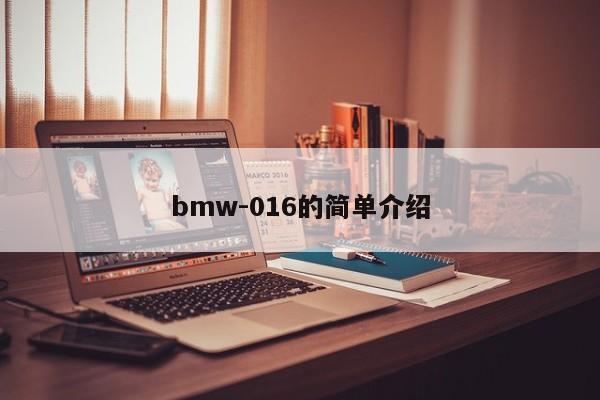 bmw-016的简单介绍