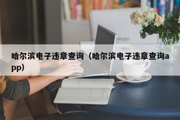 哈尔滨电子违章查询（哈尔滨电子违章查询app）