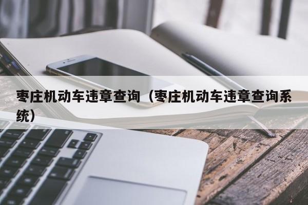 枣庄机动车违章查询（枣庄机动车违章查询系统）