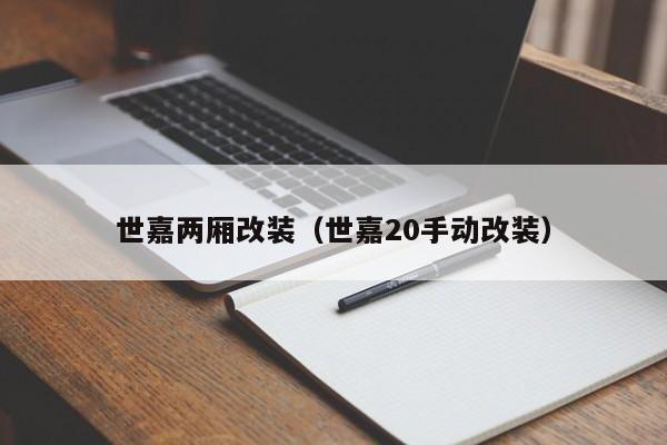 世嘉两厢改装（世嘉20手动改装）