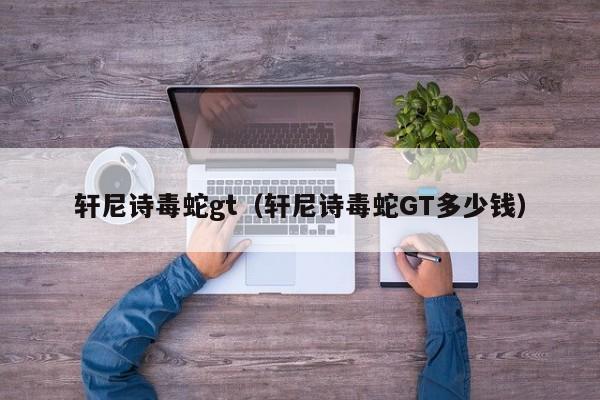 轩尼诗毒蛇gt（轩尼诗毒蛇GT多少钱）