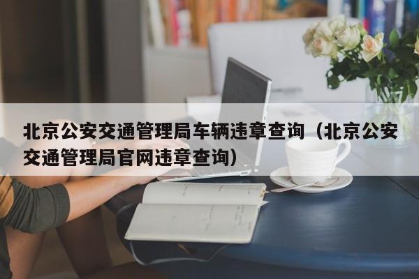 北京公安交通管理局车辆违章查询（北京公安交通管理局官网违章查询）