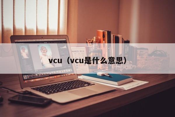 vcu（vcu是什么意思）