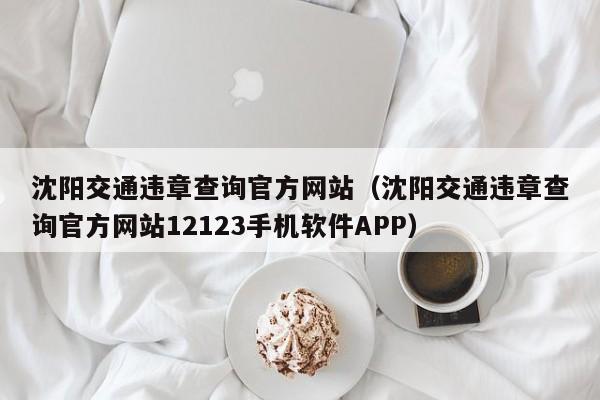 沈阳交通违章查询官方网站（沈阳交通违章查询官方网站12123手机软件APP）