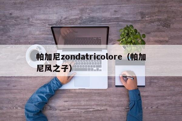 帕加尼zondatricolore（帕加尼风之子）