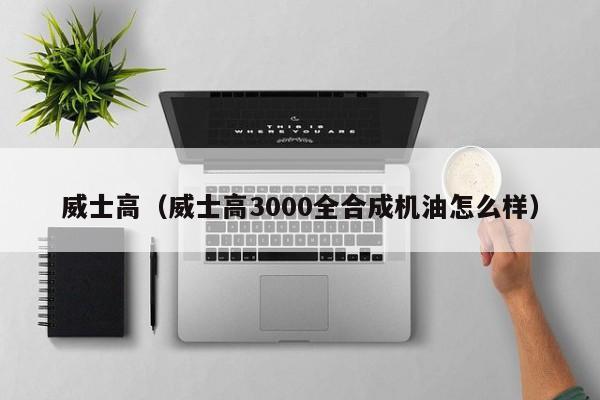 威士高（威士高3000全合成机油怎么样）