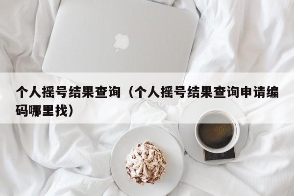 个人摇号结果查询（个人摇号结果查询申请编码哪里找）