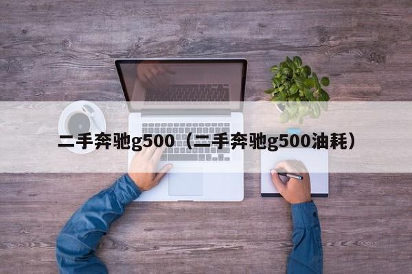 二手奔驰g500（二手奔驰g500油耗）