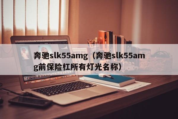 奔驰slk55amg（奔驰slk55amg前保险杠所有灯光名称）