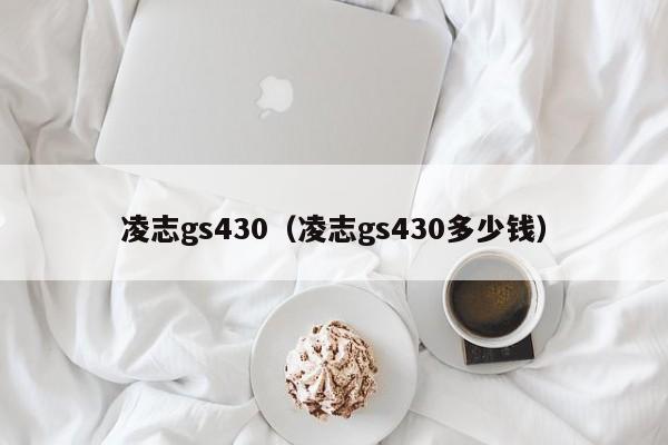 凌志gs430（凌志gs430多少钱）