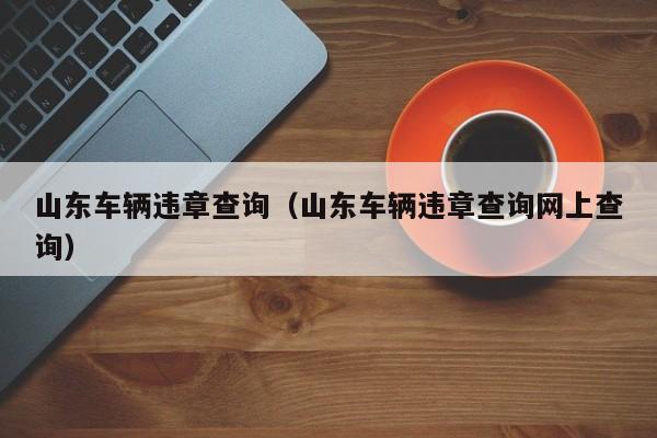 山东车辆违章查询（山东车辆违章查询网上查询）