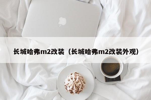 长城哈弗m2改装（长城哈弗m2改装外观）