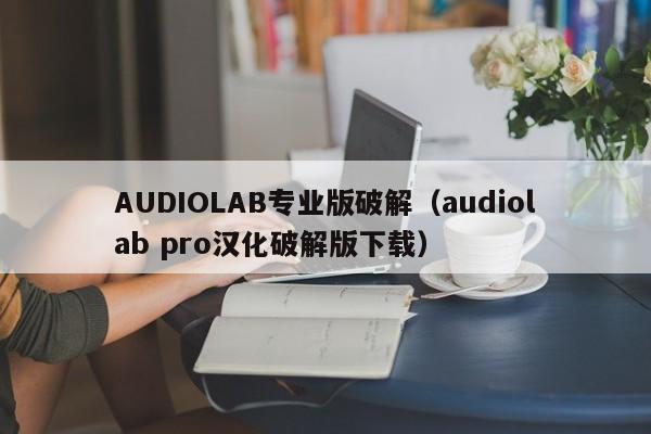 AUDIOLAB专业版破解（audiolab pro汉化破解版下载）