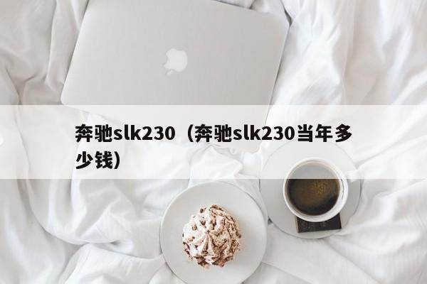 奔驰slk230（奔驰slk230当年多少钱）