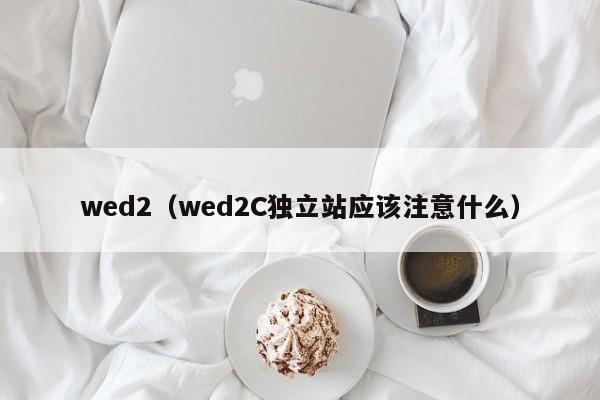 wed2（wed2C独立站应该注意什么）