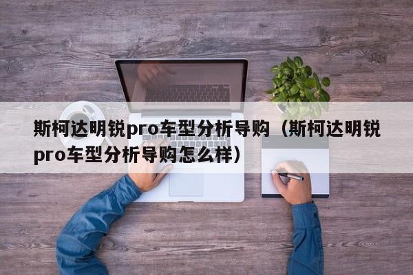 斯柯达明锐pro车型分析导购（斯柯达明锐pro车型分析导购怎么样）