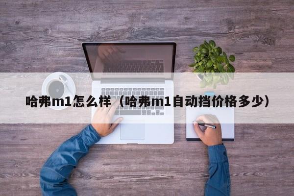 哈弗m1怎么样（哈弗m1自动挡价格多少）