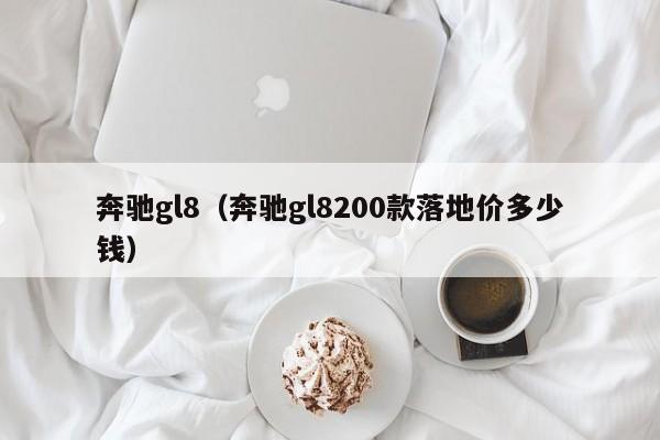 奔驰gl8（奔驰gl8200款落地价多少钱）