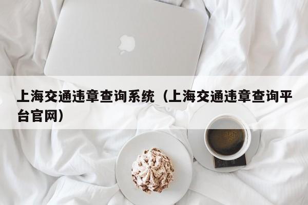 上海交通违章查询系统（上海交通违章查询平台官网）