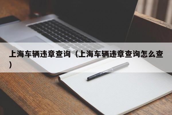 上海车辆违章查询（上海车辆违章查询怎么查）