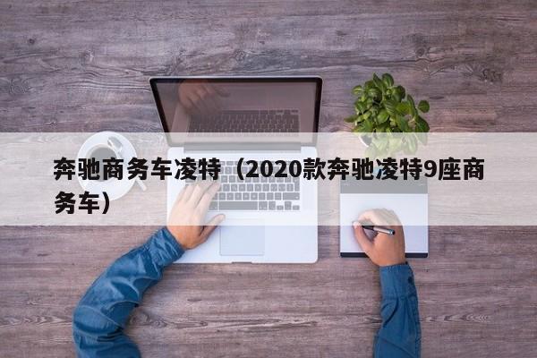 奔驰商务车凌特（2020款奔驰凌特9座商务车）