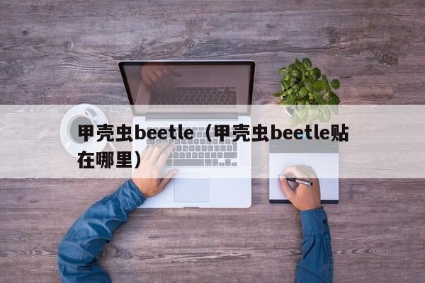 甲壳虫beetle（甲壳虫beetle贴在哪里）